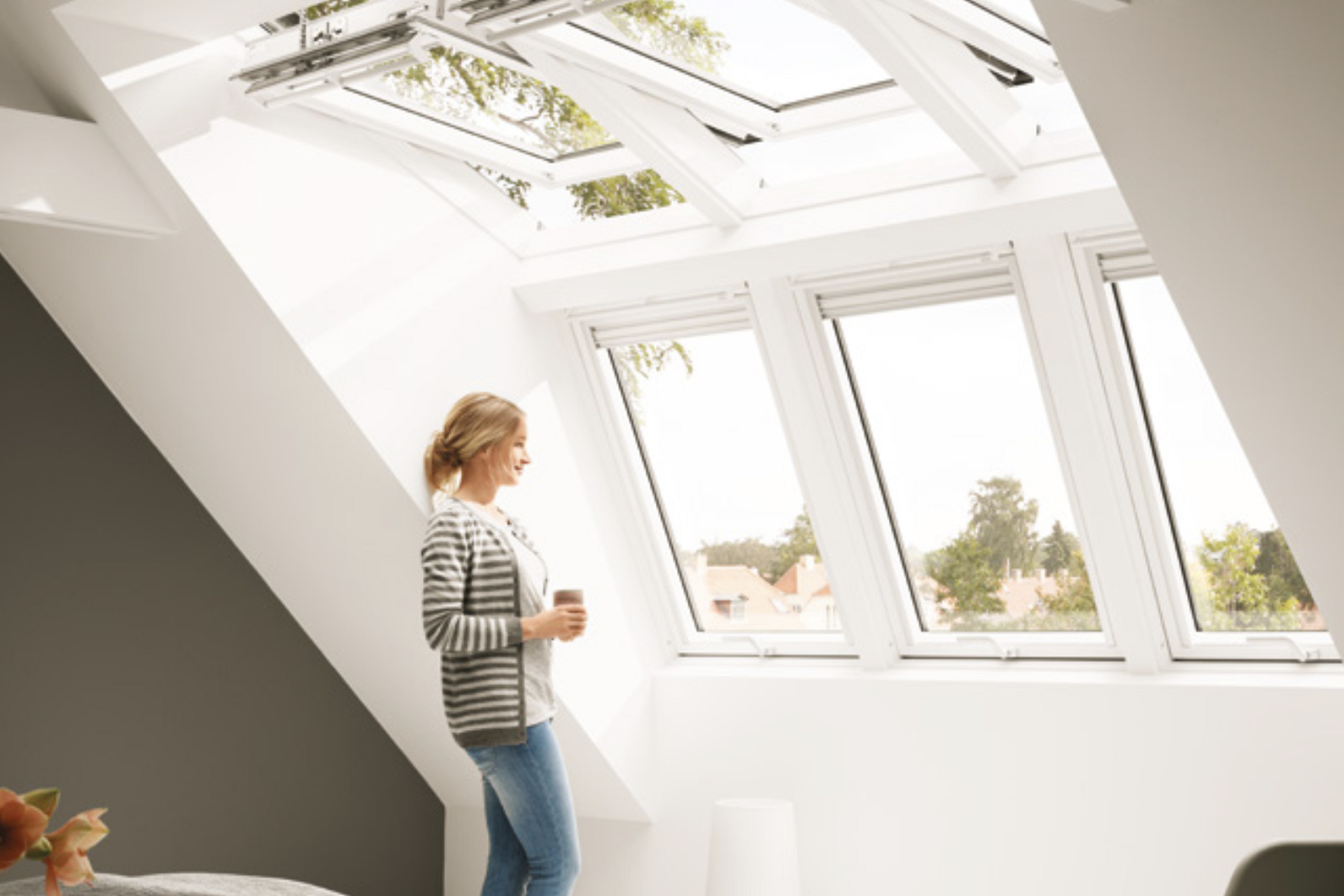 Line Out Conversion Velux 3
